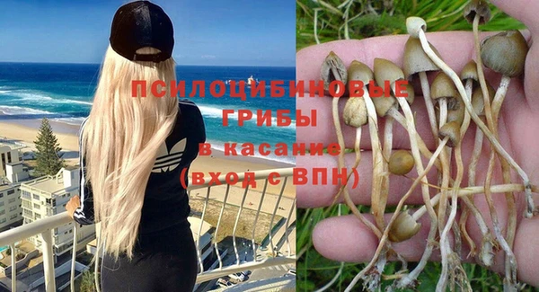 2c-b Заволжье