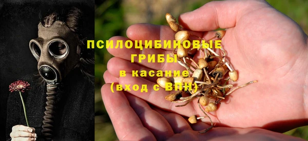 MDMA Заводоуковск