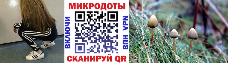 Купить  Михайловка  Галлюциногенные грибы MAGIC MUSHROOMS 